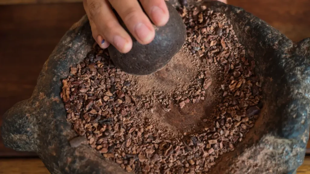 Processo do Cacau para Virar Chocolate