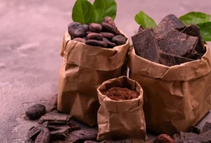 Chocolate Bean-to-Bar