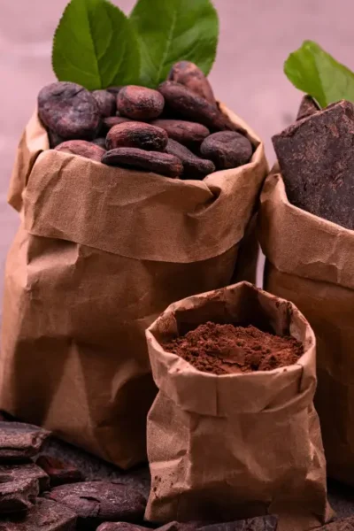 Chocolate Bean-to-Bar