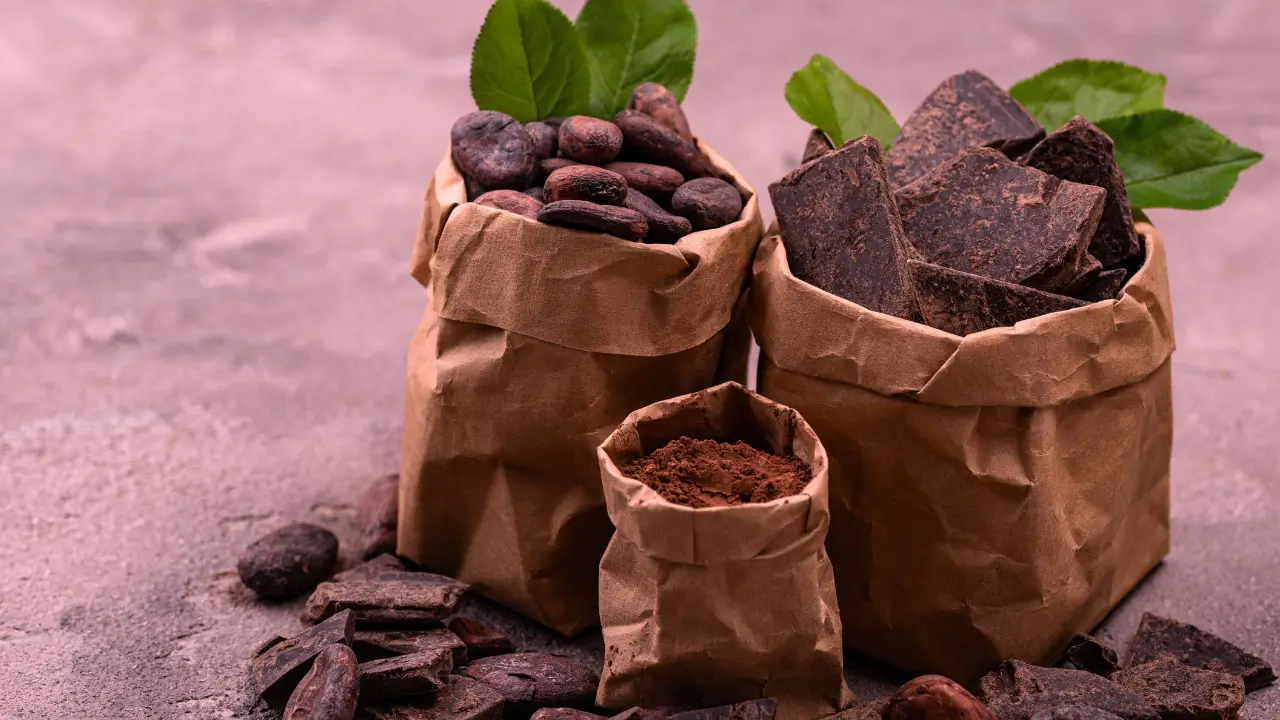 Chocolate Bean-to-Bar: Conheça 5 Curiosidades