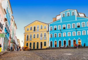 Como o Cacau Transformou a Economia da Bahia