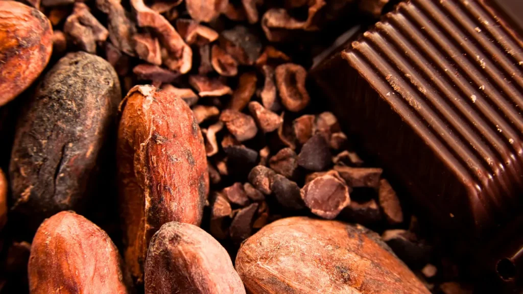 Chocolate Bean-to-Bar