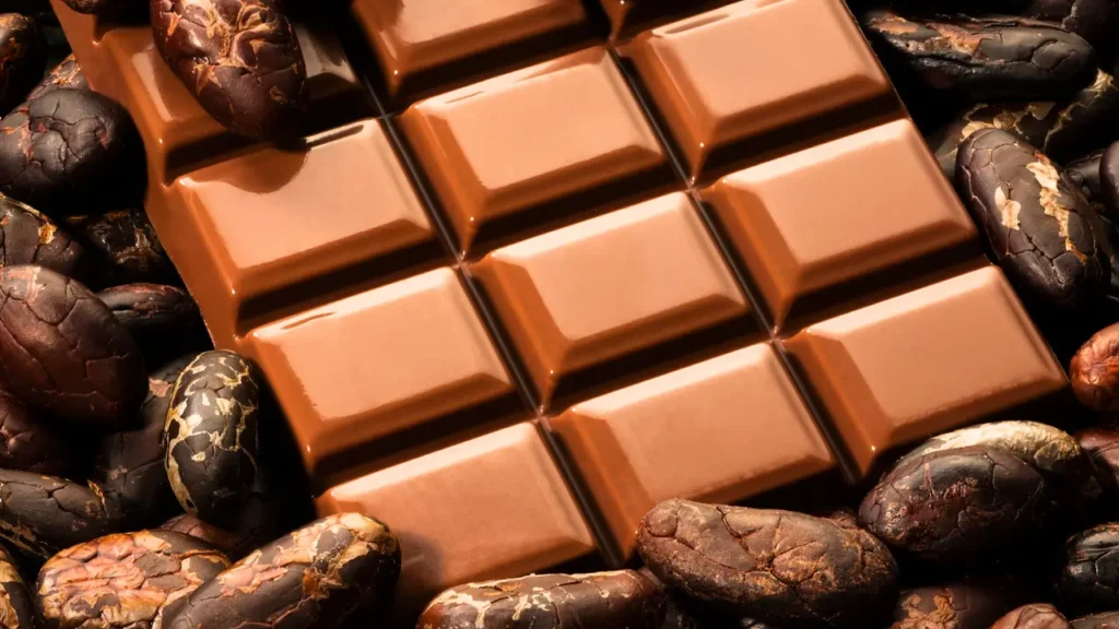 Chocolate Bean-to-Bar