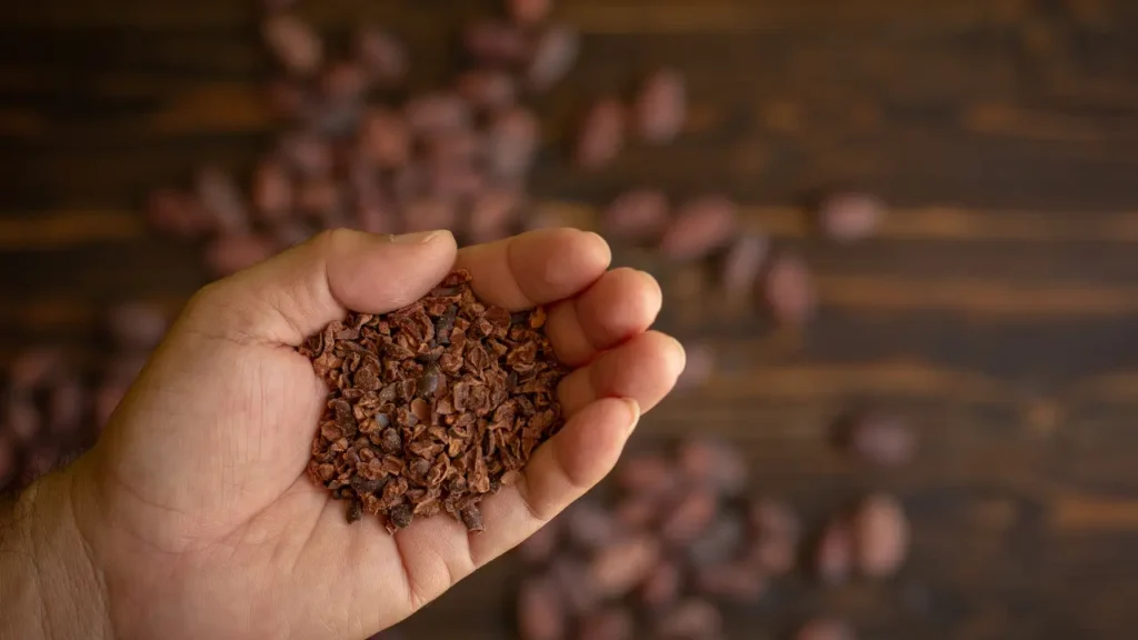 o que são e como usar nibs de cacau no dia a dia