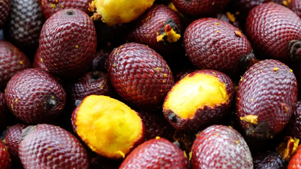 O Que é Chocolate com Frutas Nativas