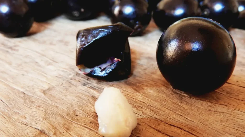 O Que é Chocolate com Frutas Nativas