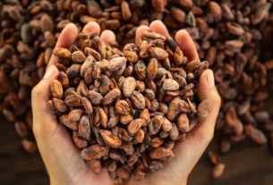 Notas Frutadas no Chocolate