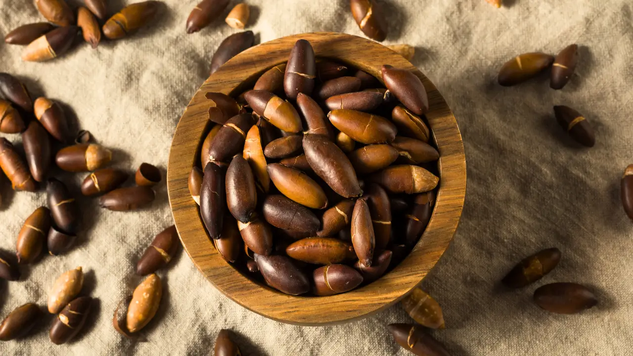 O Que é Chocolate com Baru e Por Que Experimentar