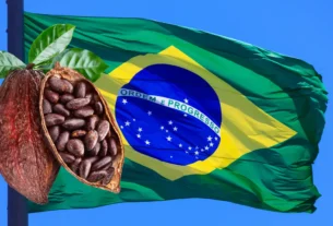 O Que Muda no Sabor do Chocolate com Cacau Nacional