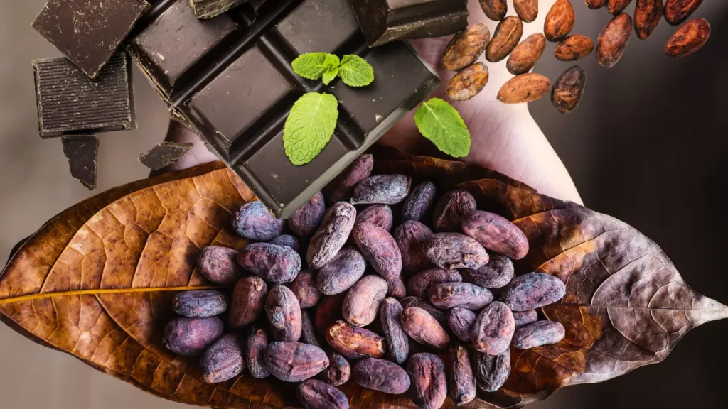 O Que Muda no Sabor do Chocolate com Cacau Nacional