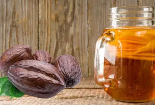 Usos do Cacau Além do Chocolate: Sabores Artesanais do Brasil