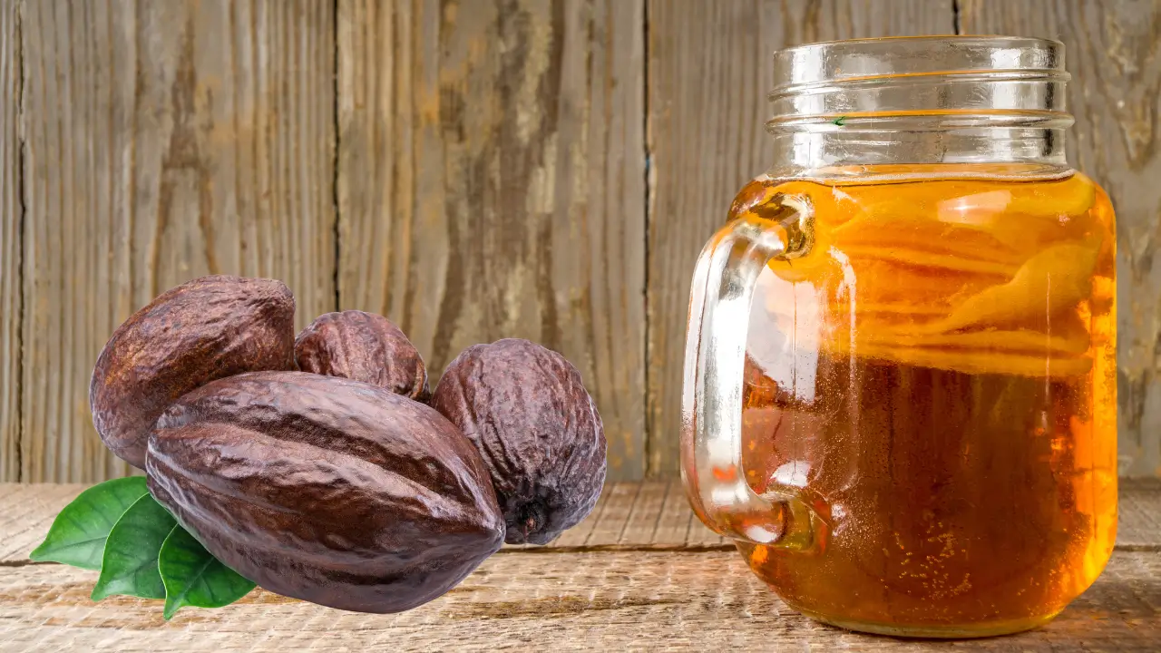 Usos do Cacau Além do Chocolate: Sabores Artesanais do Brasil