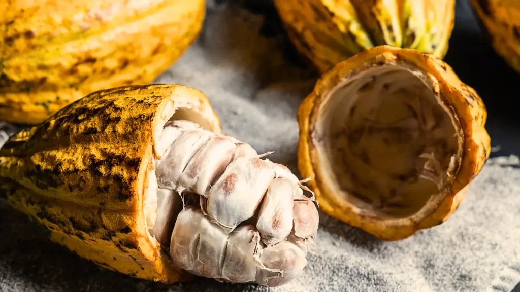 Como Usar Cacau para Tingir Tecidos de Forma Natural